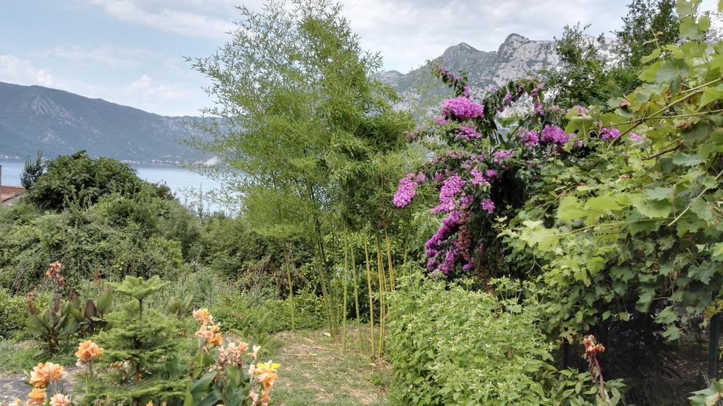 Apartment Rose Garden Risan Bagian luar foto